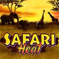 Safari Heat